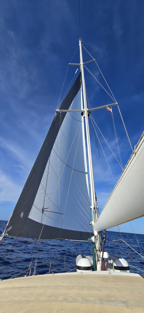 Our genoa did still work, so we could motorsail a bit 